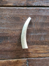 Load image into Gallery viewer, Elk & Deer Antler Chews